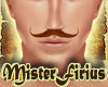Mustache Auburn