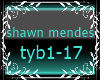 shawn mendes