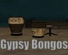 Gypsy Bongos