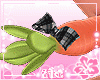 Bunny Carrot Black