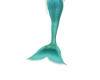 🪸Seafoam Tailfin