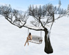 {A} Snow Tree Swing