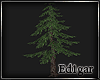 (ED1)Tree-13