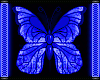 !VR! Butterflies Cobalt