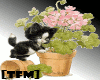 [TFM] Kitten&Flowerpot