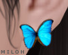 ▶︎ Butterfly ear.