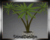 !! Palm Tree Potted