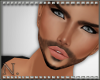 -NA-Ian~Beard One