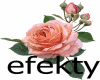 efekty