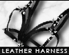 - leather harness LRB -