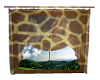 Safari Window And Curtin