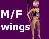 (V) purple pink wings