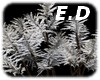 E.D SNOW TREE FOREST