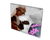 Scam_Custom1