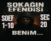 Sokagin Efendisi