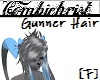 Gunner Hair [F]