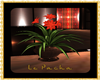 [A] Le Pacha plants 1