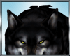 Black Wolf + Action