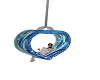 blue rose swing