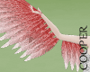 !A pink / silver wings