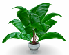 PD~Potted Tropical Plant