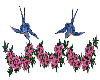 Blue Bird & Flower Div