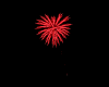 Heart: Fireworks