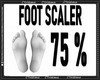 [A]FOOT SCALER 75%