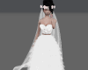 R/ Long Wedding Veil