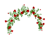 *Red Climbing Rose Arch