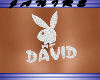 [JA] Piercing David