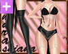 Cabaret Dark