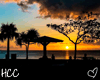 !HCC Sunset in Hawaii