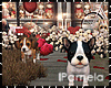 Love Buddy Bundle Deco