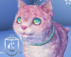 Pink Floof Cat