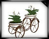 Spring Plant Cart