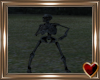 Ⓣ SR Skeleton
