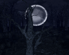 Dead tree