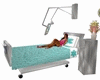 Maternity green