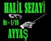 HALIL SEZAYI hs1-hs18