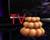 TV> Anim Punpkin Cat