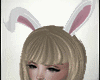 Animated Ears Bunny v2