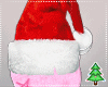 Santa Hat Animated M/F