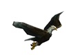 Trigger Animated Eagle