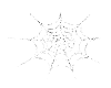 spiderweb