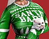 Xmas Cat Sweater Green