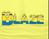 13~DS Blaze Shirt