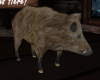 Animated Boar