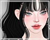 ♰ Noctis