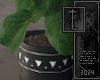 Modern Fiddle Leaf